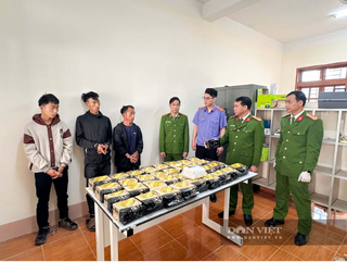 Bắt 3 đối tượng vận chuyển trái phép hàng chục kg ma tuý qua biên giới, có súng, đạn đã lên nòng