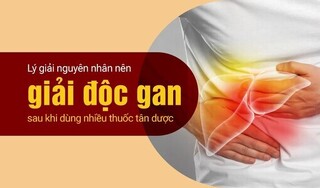 Lý giải nguyên nhân nên giải độc gan sau khi dùng nhiều tân dược