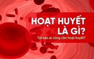 Hoạt huyết là gì? Tại sao ai cũng cần hoạt huyết?