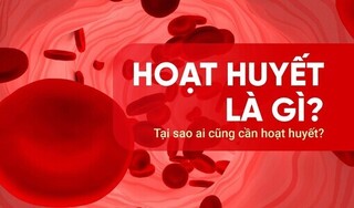 Hoạt huyết là gì? Tại sao ai cũng cần hoạt huyết?