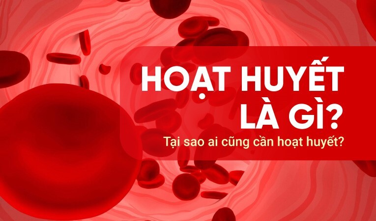 Hoạt huyết là gì? Tại sao ai cũng cần hoạt huyết?