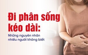 Đi phân sống kéo dài: Những nguyên nhân nhiều người không biết