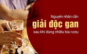 Nguyên nhân cần giải độc gan sau khi dùng nhiều bia rượu