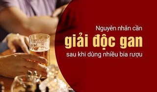 Nguyên nhân cần giải độc gan sau khi dùng nhiều bia rượu