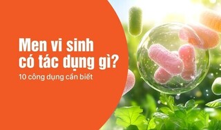 Men vi sinh có tác dụng gì? 10 công dụng cần biết