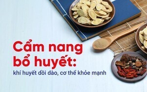 Cẩm nang bổ huyết: khí huyết dồi dào, cơ thể khỏe mạnh