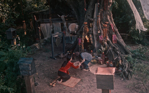 ‘Thỏ Ơi!’ giảm nhiệt, ‘Quỷ nhập tràng 2’ làm nóng phòng vé