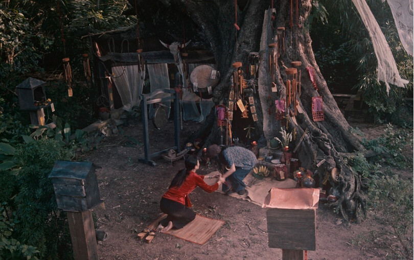 ‘Thỏ Ơi!’ giảm nhiệt, ‘Quỷ nhập tràng 2’ làm nóng phòng vé