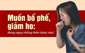 Muốn bổ phế, giảm ho: dùng ngay những thảo dược này!