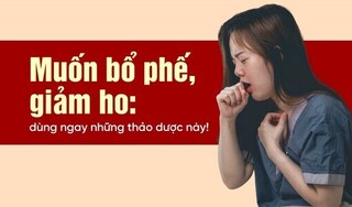 Muốn bổ phế, giảm ho: dùng ngay những thảo dược này!