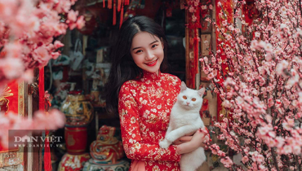 Tử vi ngày mai: 4 con giáp có đầu óc kinh doanh nhạy bén, quý nhân giúp đỡ, năm 2026 không thiếu tiền tiêu