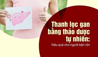 Thanh lọc gan bằng thảo dược tự nhiên: hiệu quả cho người bận rộn
