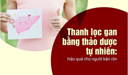 Thanh lọc gan bằng thảo dược tự nhiên: hiệu quả cho người bận rộn