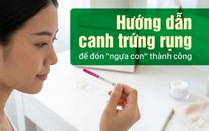 Hướng dẫn canh trứng rụng để đón 