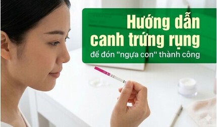 Hướng dẫn canh trứng rụng để đón 