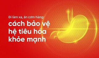 Đi làm xa, ăn cơm hàng: cách bảo vệ hệ tiêu hóa khỏe mạnh