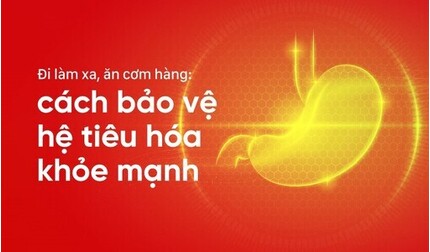 Đi làm xa, ăn cơm hàng: cách bảo vệ hệ tiêu hóa khỏe mạnh