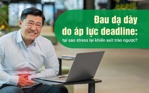 Đau dạ dày do áp lực deadline: tại sao stress lại khiến trào ngược?