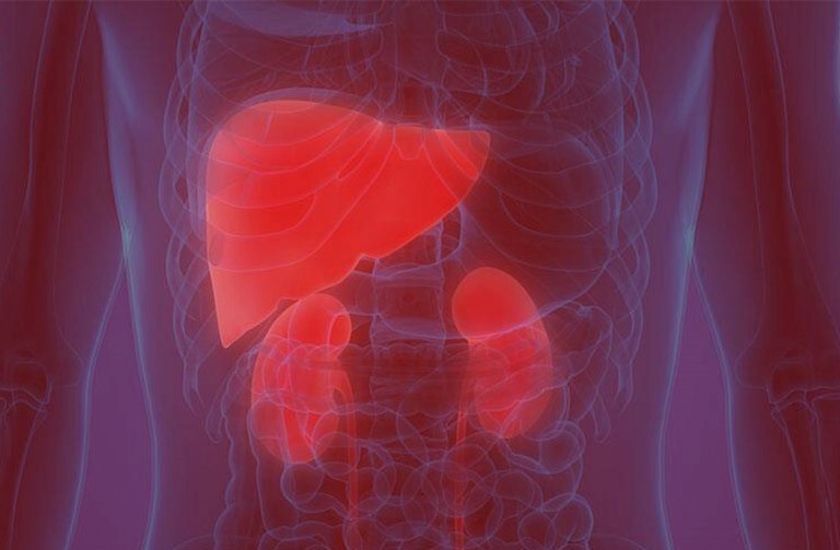 6 lý do người điều trị bệnh xương khớp nên bổ can thận