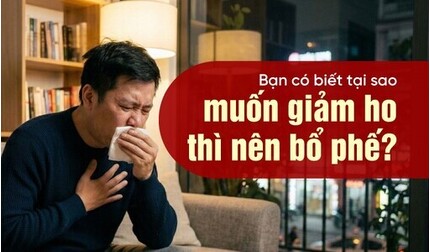 Bạn có biết tại sao muốn giảm ho thì nên bổ phế?
