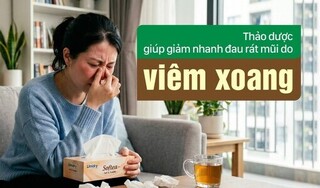 Thảo dược giúp giảm nhanh đau rát mũi do viêm xoang