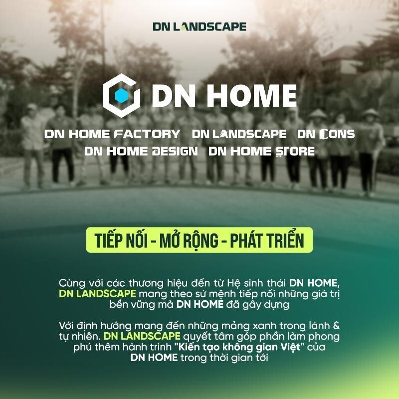 Thiết kế cảnh quan uy tín ở đâu kiến tạo không gian “xanh” lý tưởng?