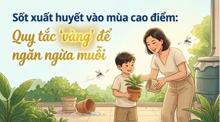 Sốt xuất huyết vào mùa cao điểm: Quy tắc 