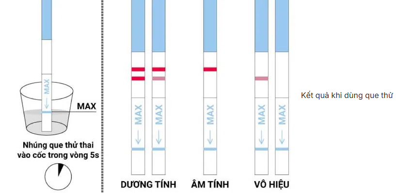 Que thử thai vạch đậm vạch mờ: tỷ lệ có thai đạt bao nhiêu %?