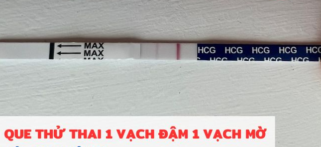 Que thử thai vạch đậm vạch mờ: tỷ lệ có thai đạt bao nhiêu %?