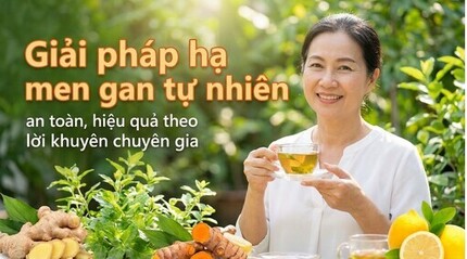 Giải pháp hạ men gan tự nhiên an toàn, hiệu quả theo lời khuyên