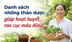 Danh sách những thảo dược giúp hoạt huyết, tan cục máu đông