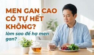 Men gan cao có tự hết không? Làm sao để hạ men gan?