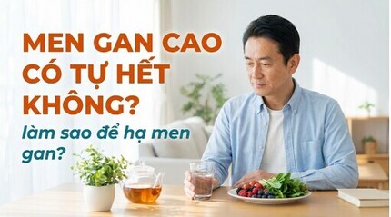 Men gan cao có tự hết không? Làm sao để hạ men gan?
