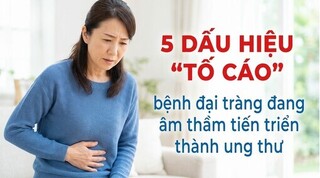 5 dấu hiệu 
