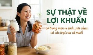 Sự thật về lợi khuẩn có trong men vi sinh, sữa chua các loại rau củ