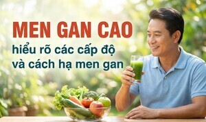 Men gan cao: hiểu rõ các cấp độ và cách hạ men gan