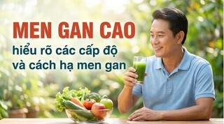  Men gan cao: hiểu rõ các cấp độ và cách hạ men gan