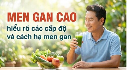  Men gan cao: hiểu rõ các cấp độ và cách hạ men gan