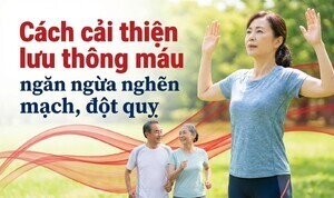 Cách cải thiện lưu thông máu, ngăn ngừa nghẽn mạch, đột quỵ