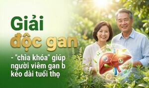 Giải độc gan - 