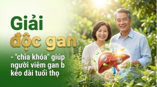 Giải độc gan - 
