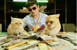 Diễn biến mới nhất vụ án của Shark Bình với Mr Pips