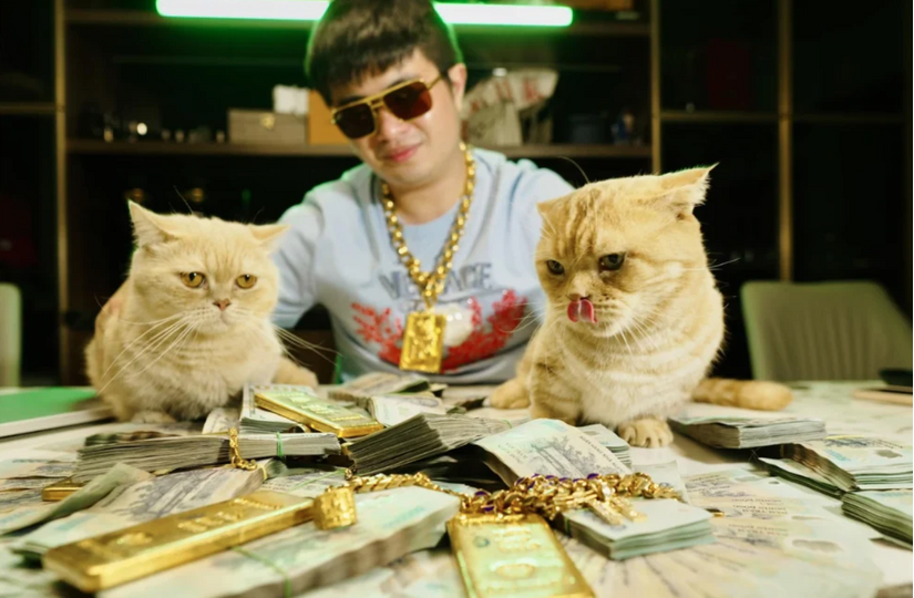 Diễn biến mới nhất vụ án của Shark Bình với Mr Pips