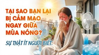 Tại sao bạn lại bị cảm mạo ngay giữa mùa nóng? sự thật ít người biết