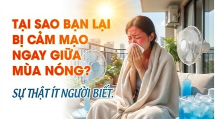 Tại sao bạn lại bị cảm mạo ngay giữa mùa nóng? sự thật ít người biết