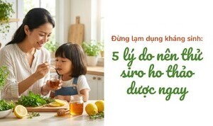Đừng lạm dụng kháng sinh: 5 lý do nên thử siro ho thảo dược ngay