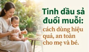 Tinh dầu sả đuổi muỗi: cách dùng hiệu quả, an toàn cho mẹ và bé