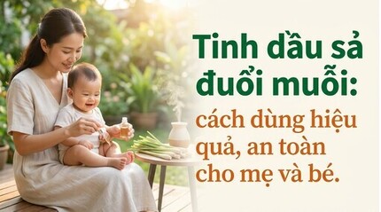 Tinh dầu sả đuổi muỗi: cách dùng hiệu quả, an toàn cho mẹ và bé