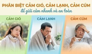 Phân biệt cảm gió, cảm lạnh, cảm cúm để giải cảm nhanh và an toàn