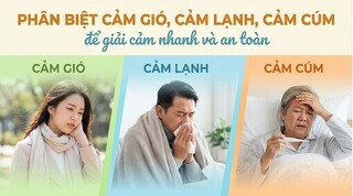 Phân biệt cảm gió, cảm lạnh, cảm cúm để giải cảm nhanh và an toàn